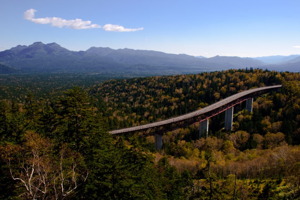 Treescape,And,Sky,Bridge,,,Sea,Of,Tree,In,Hokkaido – Building Bridges ...